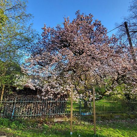 Bergischer Hof - Bergischer Hofgarten Windeck Exteriér fotografie